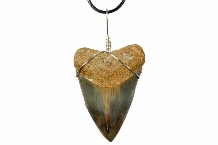 Serrated, Fossil Great White Shark Tooth Necklace